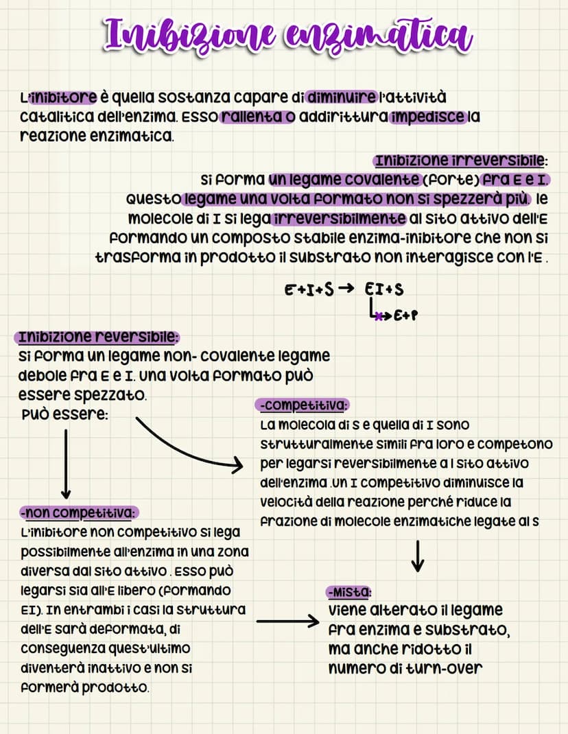 Il metabolismo microbico
Ecosistema → insieme costituito da componente biotica E abiotica
In un certo ambiente
↓
condizioni fondamentali:
- 