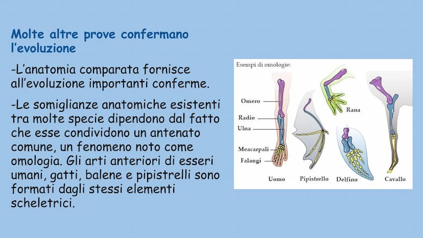 La teoria dell'evoluzione
Charles Darwin La teoria dell'evoluzione biologica spiega come le specie si
modificano nel tempo, e venne formulat