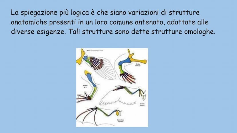 La teoria dell'evoluzione
Charles Darwin La teoria dell'evoluzione biologica spiega come le specie si
modificano nel tempo, e venne formulat