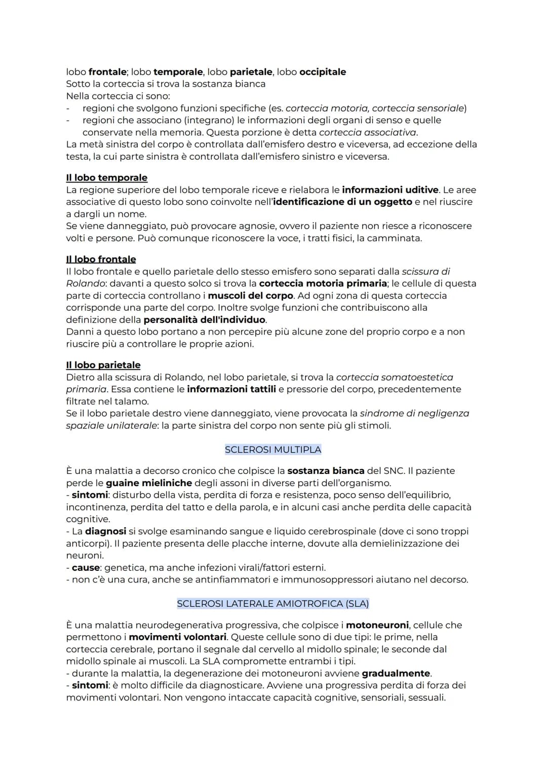 IL SISTEMA NERVOSO
Il sistema nervoso coordina l'attività degli organi e ci fa relazionare con l'esterno. Esso
opera seguendo 3 passaggi fon