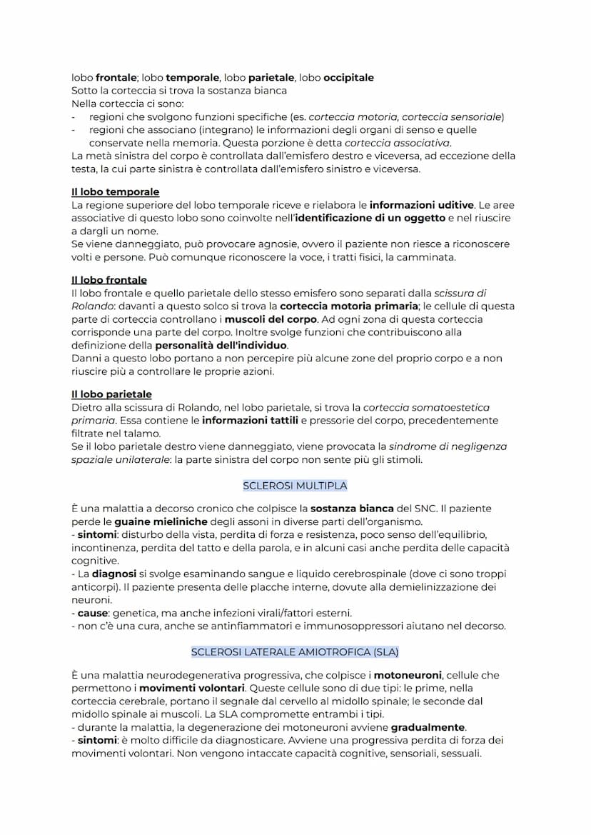 IL SISTEMA NERVOSO
Il sistema nervoso coordina l'attività degli organi e ci fa relazionare con l'esterno. Esso
opera seguendo 3 passaggi fon