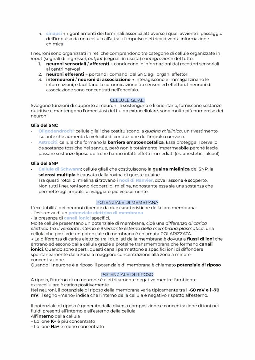 IL SISTEMA NERVOSO
Il sistema nervoso coordina l'attività degli organi e ci fa relazionare con l'esterno. Esso
opera seguendo 3 passaggi fon