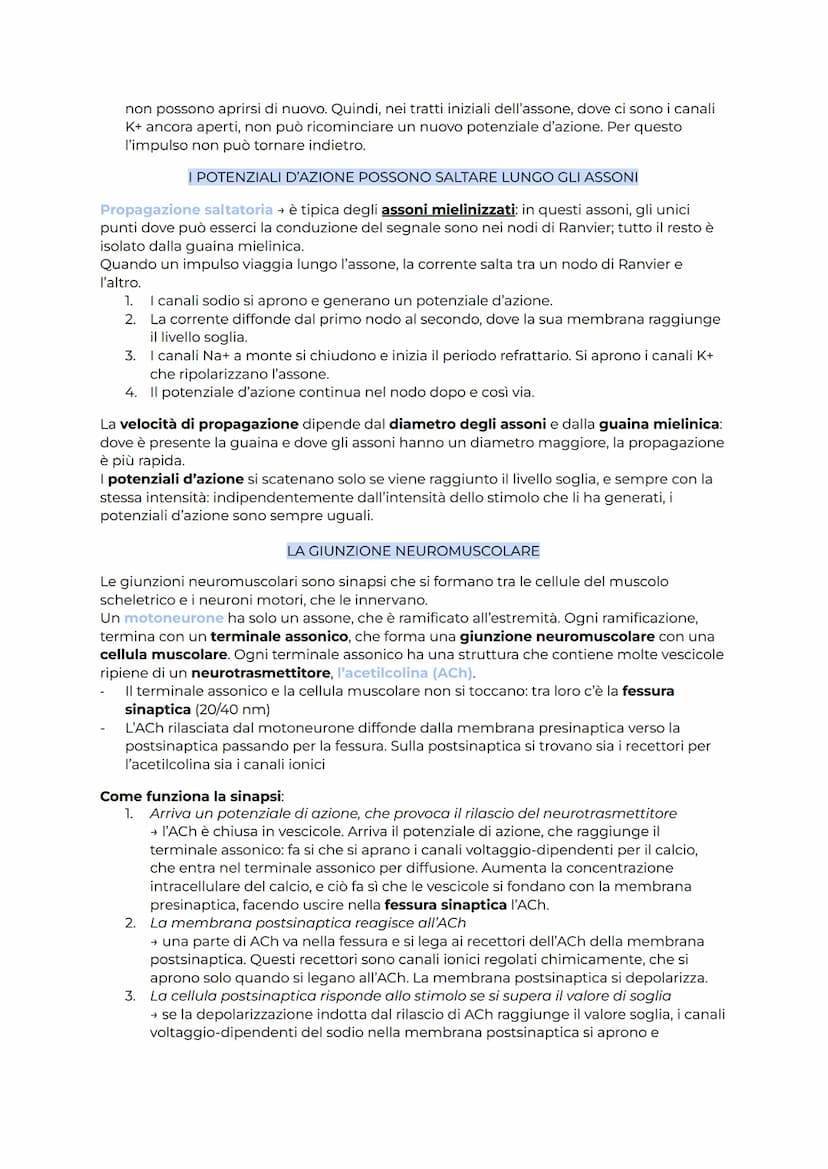 IL SISTEMA NERVOSO
Il sistema nervoso coordina l'attività degli organi e ci fa relazionare con l'esterno. Esso
opera seguendo 3 passaggi fon