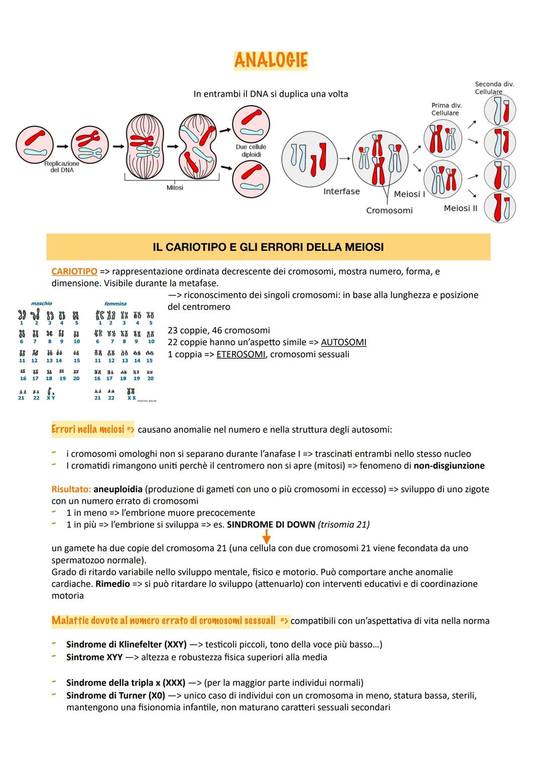 CICLO CELLULARE
Interfase
Il ciclo cellulare è l'insieme degli eventi compresi tra la
formazione di una cellula e la sua divisione in due ce