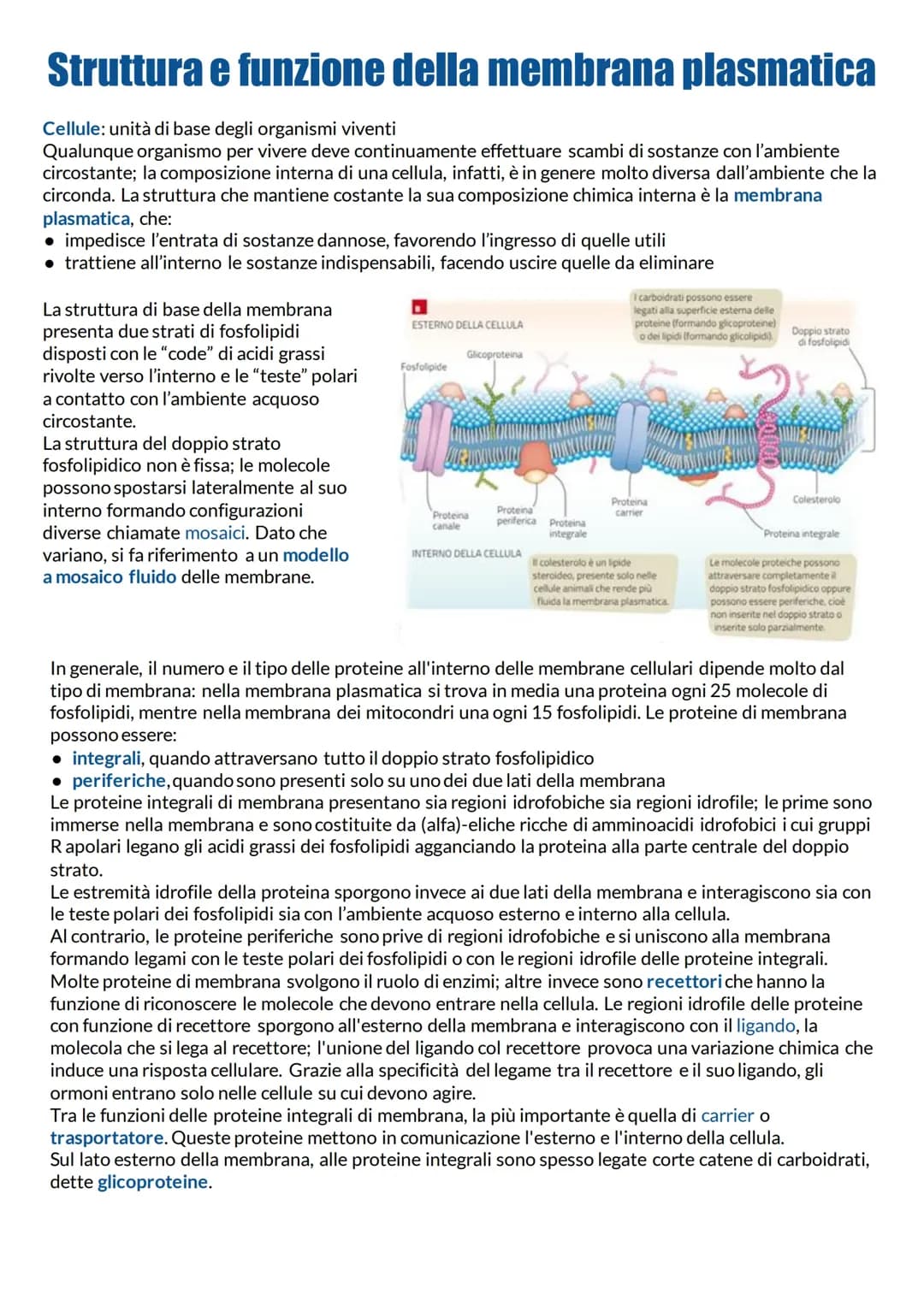 LA CELLULA EUCARIOTICA