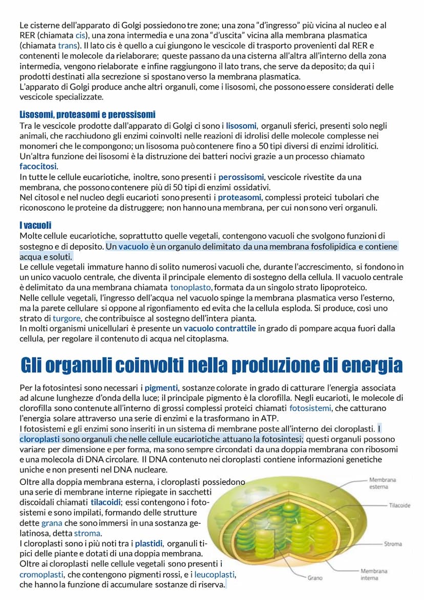 Struttura e funzione della membrana plasmatica
Cellule: unità di base degli organismi viventi
Qualunque organismo per vivere deve continuame
