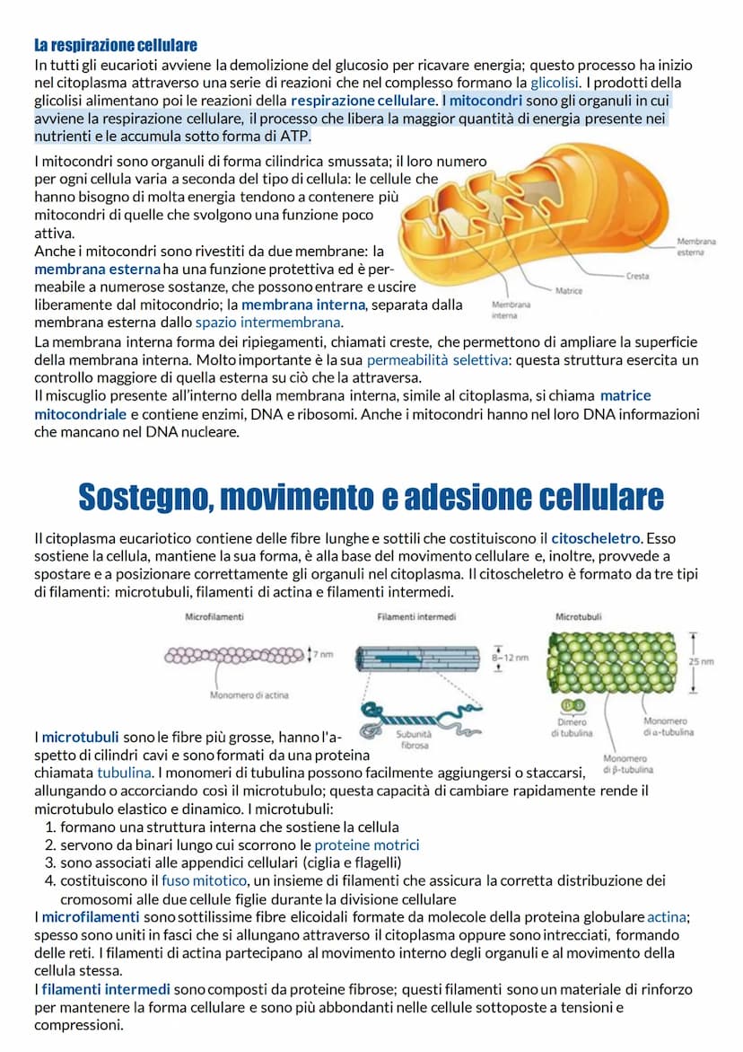 Struttura e funzione della membrana plasmatica
Cellule: unità di base degli organismi viventi
Qualunque organismo per vivere deve continuame