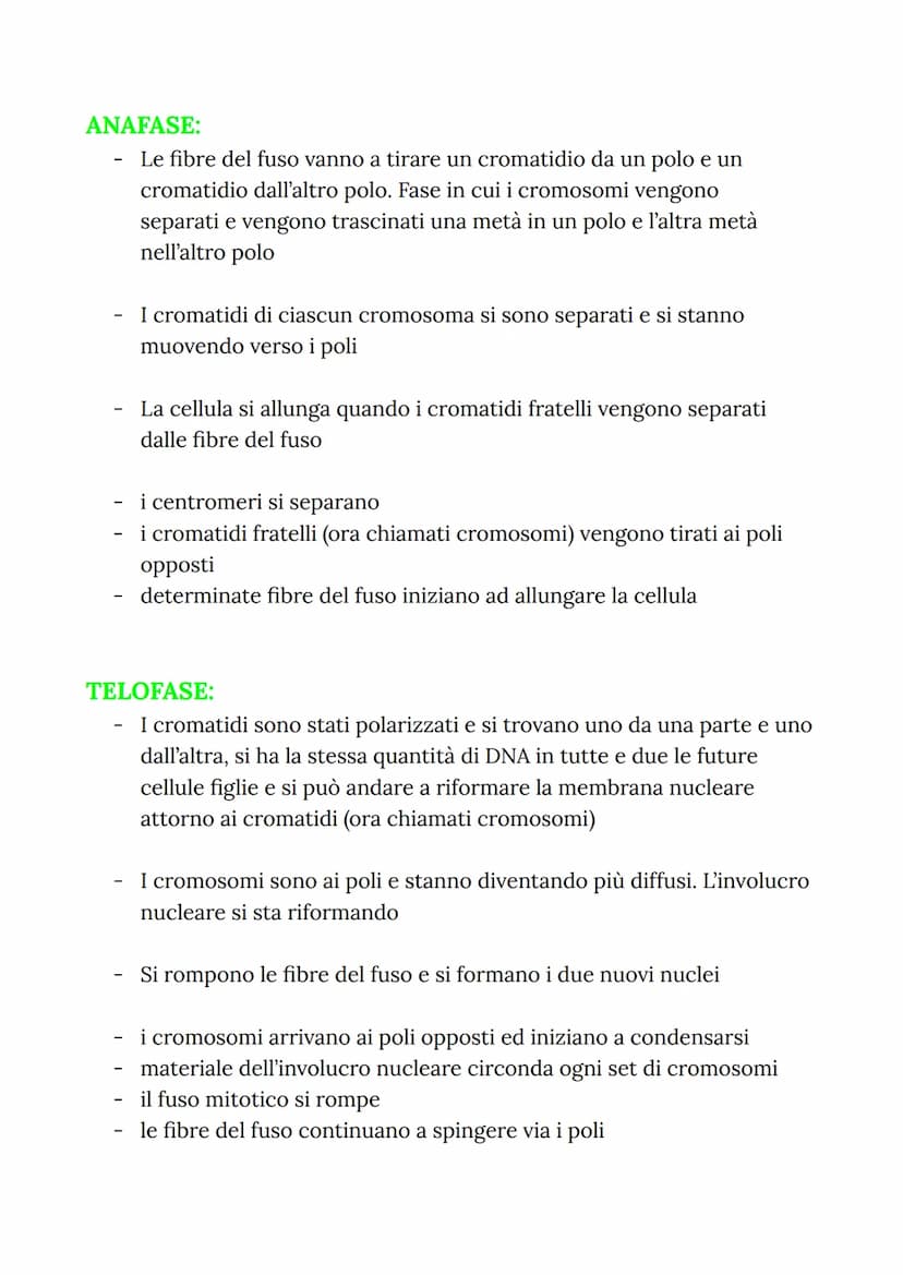 MITOSI
MITOSI:
Divisione di una cellula in due cellule figlie identiche
("clonazione")
-
Da una cellula si va a riprodurre due cellule figli
