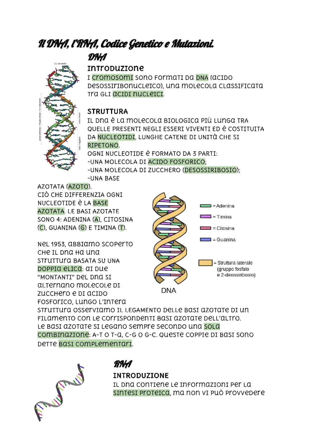 Scienze-Il DNA, l'RNA, Codice Genetico e Mutazioni.
