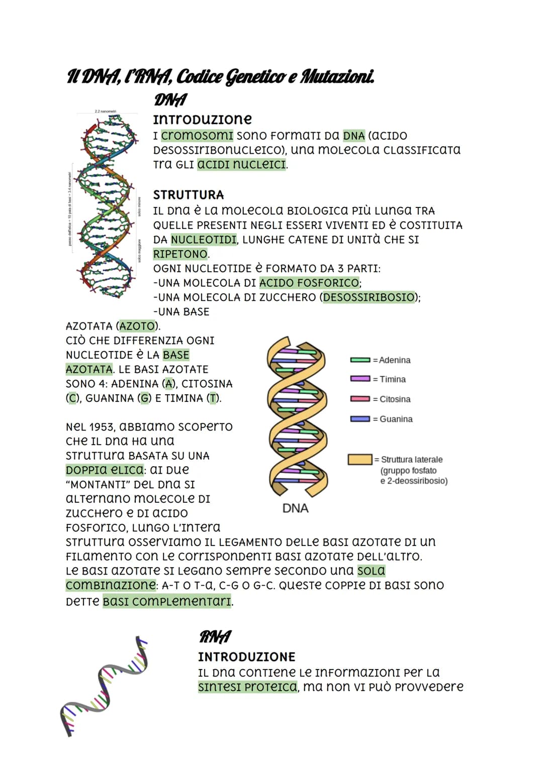 Il DNA, I'RNA, Codice Genetico e Mutazioni.
DNA
2.2 nanometri
INTRODUZIONE
I cromosomi sono FormaTI DA DNA (ACIDO
DESOSSIRIBONUCLEICO), una 