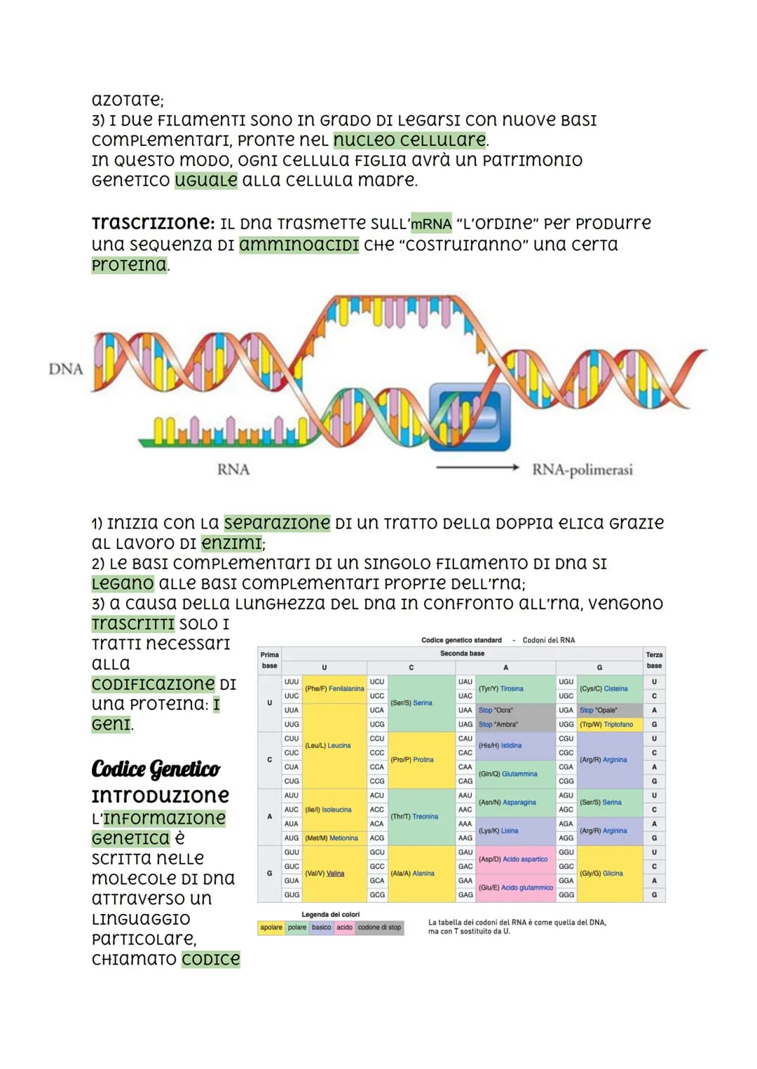 Il DNA, I'RNA, Codice Genetico e Mutazioni.
DNA
2.2 nanometri
INTRODUZIONE
I cromosomi sono FormaTI DA DNA (ACIDO
DESOSSIRIBONUCLEICO), una 