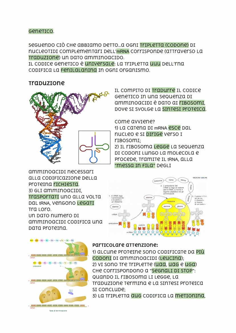 Il DNA, I'RNA, Codice Genetico e Mutazioni.
DNA
2.2 nanometri
INTRODUZIONE
I cromosomi sono FormaTI DA DNA (ACIDO
DESOSSIRIBONUCLEICO), una 