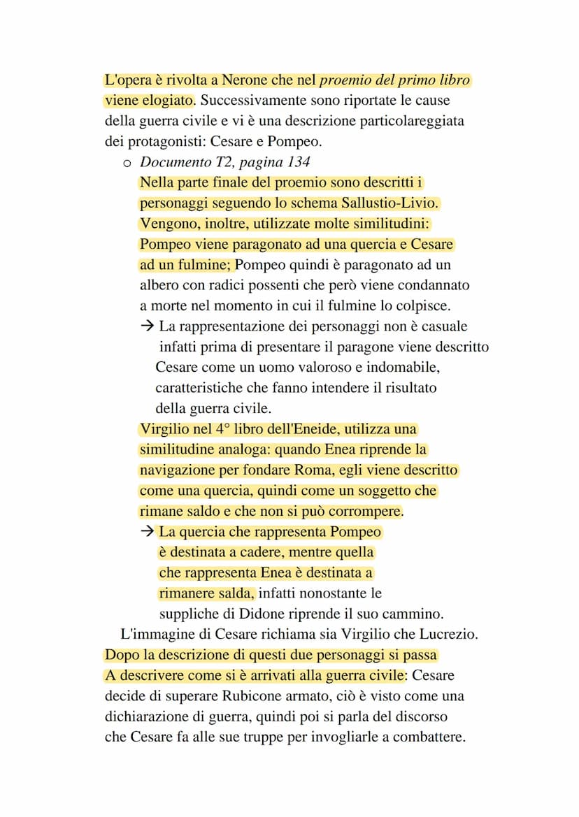 Contesto storico
Il regno di Nerone è un periodo ricco dal punto di vista culturale,
infatti forniscono molti autori significativi come Luca