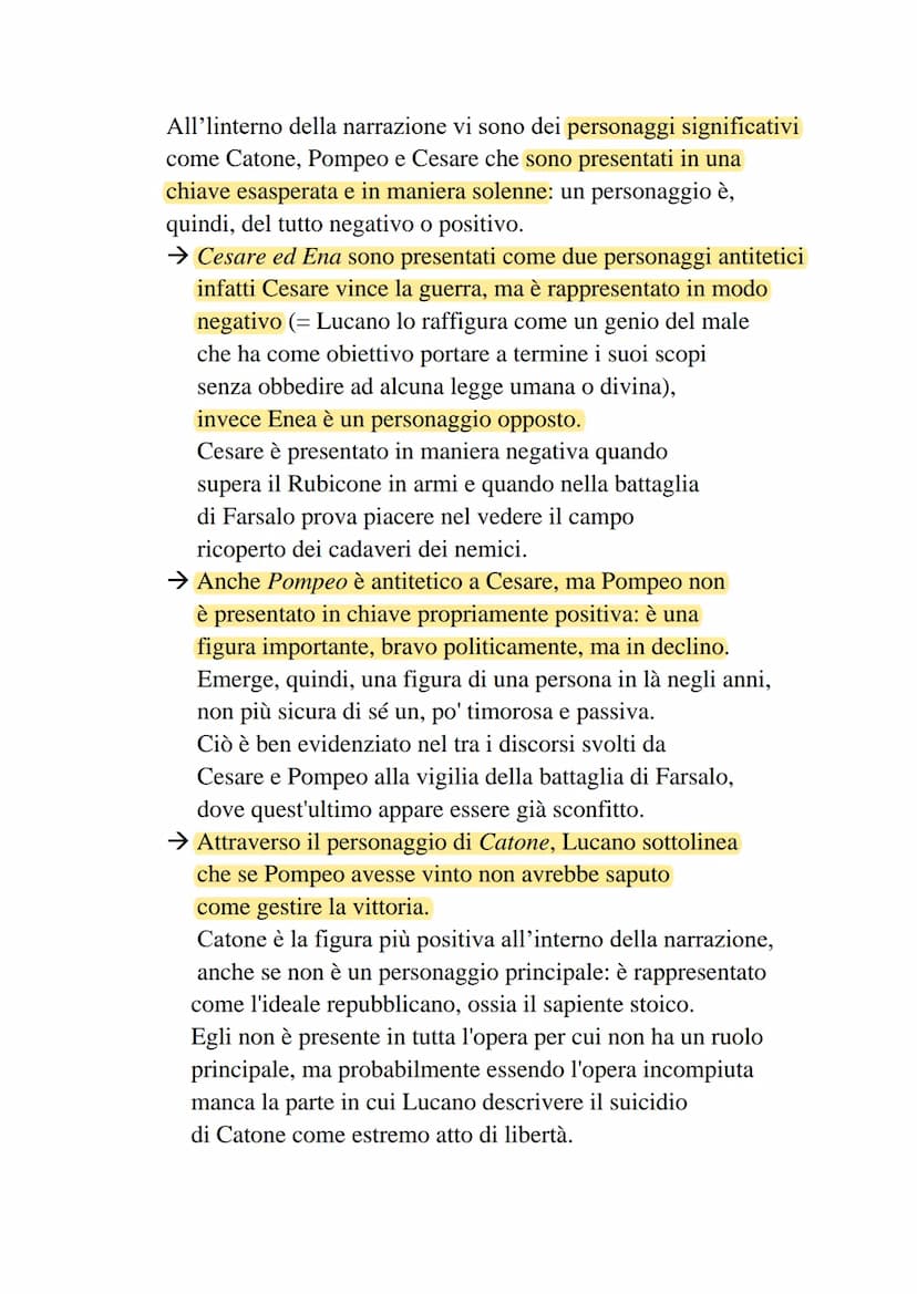 Contesto storico
Il regno di Nerone è un periodo ricco dal punto di vista culturale,
infatti forniscono molti autori significativi come Luca