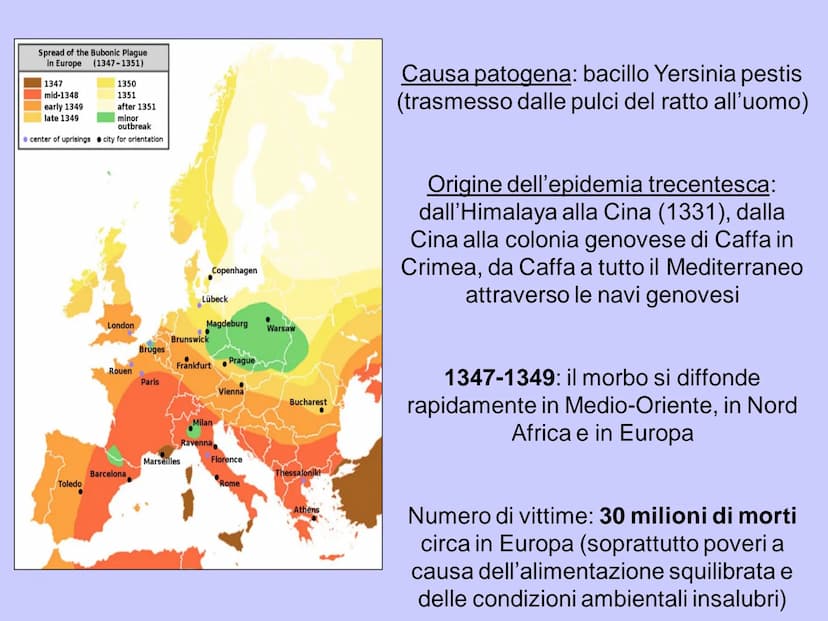 La crisi del Trecento
On the ferus adio del bon tore non hauure pagura aquefto ballo venre
tunamis en unes olhymus heuot ferumus pumine uten