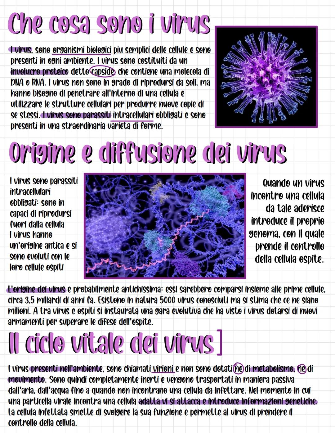 Che cosa sono i virus
virus, sone organismi biologici piu semplici delle cellule e sono
presenti in ogni ambiente. I virus sono costituiti d