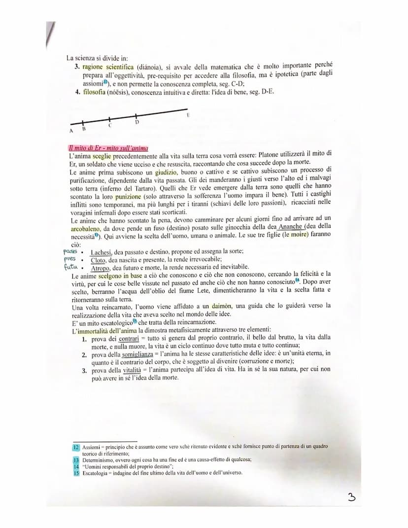 | Alice De Rosa
Appunti Filo
RS
EU
PMI
IM
PM
PP
PLATONE
(427-347 a.C.)
Vita e politica
Platone (Aristocle) è figlio di una famiglia aristocr