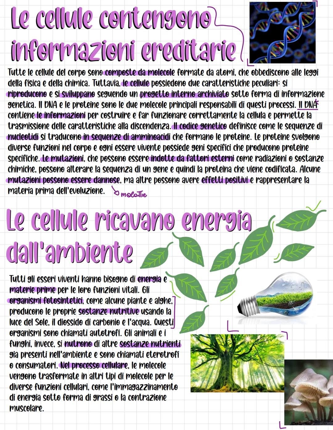 Bielegia
La biologia (bio-logos) e la scienza che si occupa degli esseri viventi
formati da cellule
Pluricellulari
La biologia ha tantissime