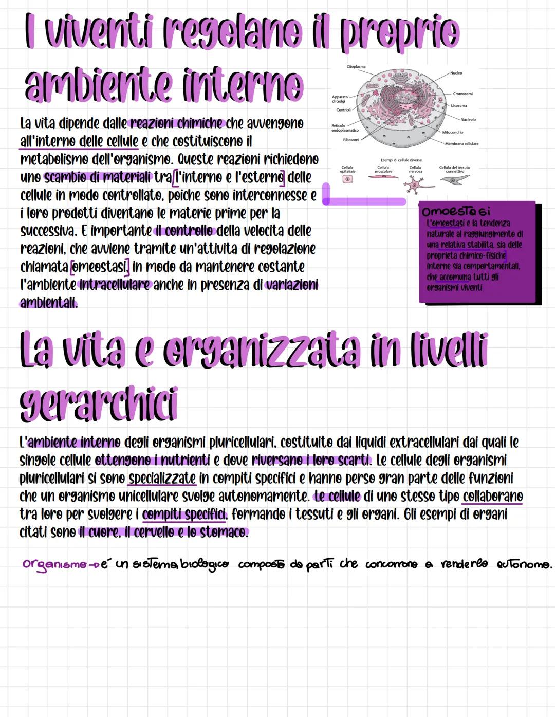 Bielegia
La biologia (bio-logos) e la scienza che si occupa degli esseri viventi
formati da cellule
Pluricellulari
La biologia ha tantissime