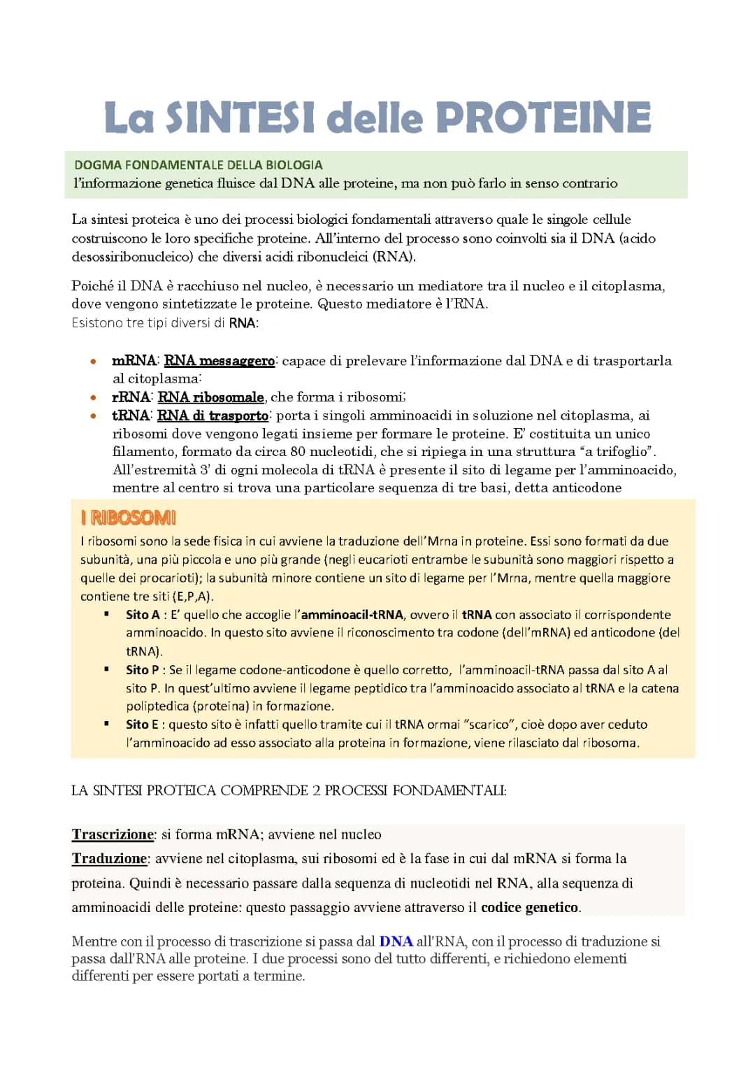 Sintesi Proteica Spiegazione Semplice: Fasi e Schema Semplice