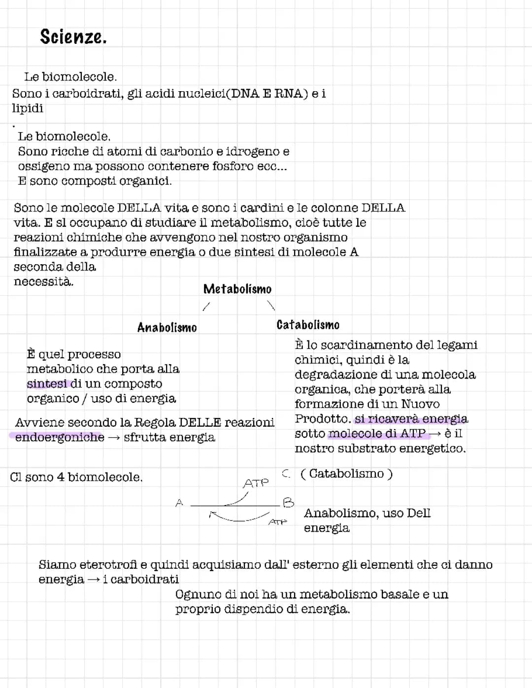 Metabolismo del glucosio e ciclo di krebs