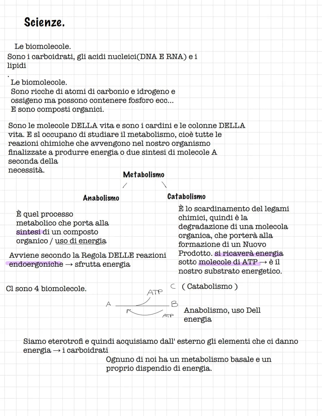 Scienze.
Le biomolecole.
Sono i carboidrati, gli acidi nucleici(DNA E RNA) e i
lipidi
Le biomolecole.
Sono ricche di atomi di carbonio e idr