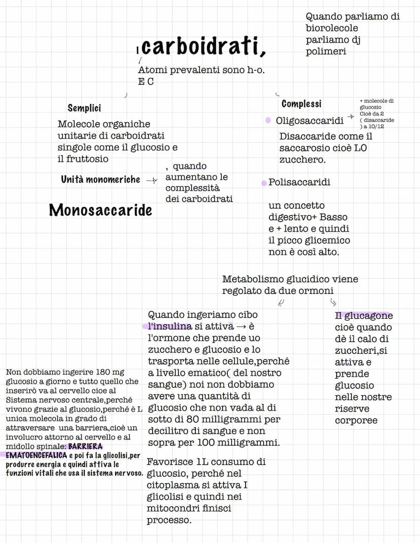 Scienze.
Le biomolecole.
Sono i carboidrati, gli acidi nucleici(DNA E RNA) e i
lipidi
Le biomolecole.
Sono ricche di atomi di carbonio e idr