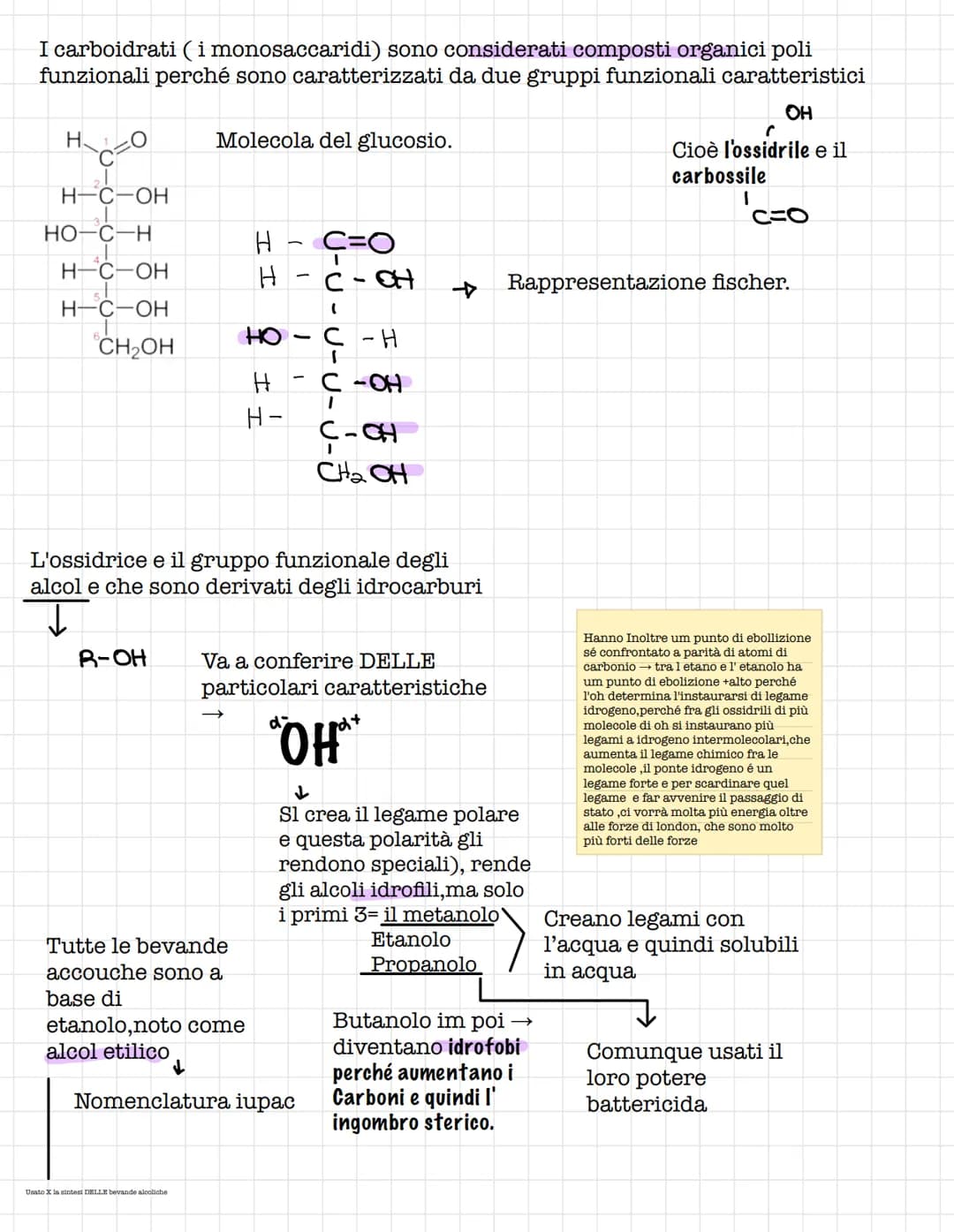 Scienze.
Le biomolecole.
Sono i carboidrati, gli acidi nucleici(DNA E RNA) e i
lipidi
Le biomolecole.
Sono ricche di atomi di carbonio e idr