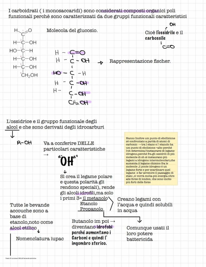 Scienze.
Le biomolecole.
Sono i carboidrati, gli acidi nucleici(DNA E RNA) e i
lipidi
Le biomolecole.
Sono ricche di atomi di carbonio e idr