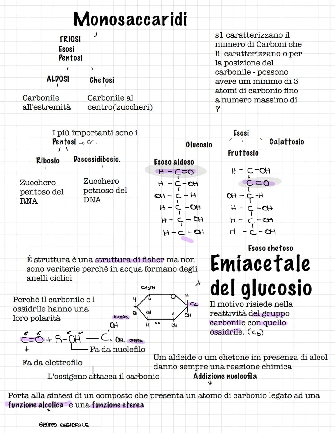Scienze.
Le biomolecole.
Sono i carboidrati, gli acidi nucleici(DNA E RNA) e i
lipidi
Le biomolecole.
Sono ricche di atomi di carbonio e idr