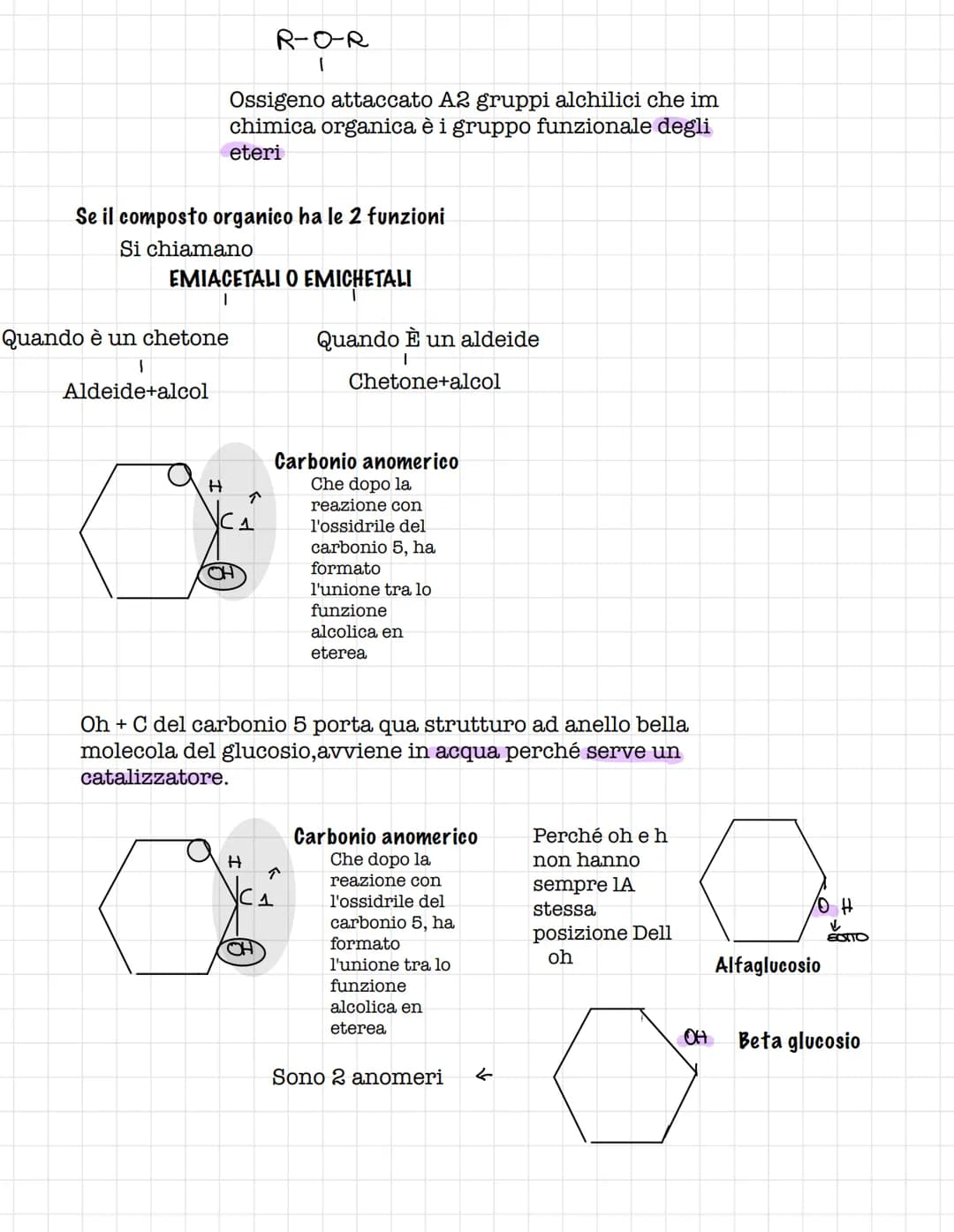 Scienze.
Le biomolecole.
Sono i carboidrati, gli acidi nucleici(DNA E RNA) e i
lipidi
Le biomolecole.
Sono ricche di atomi di carbonio e idr