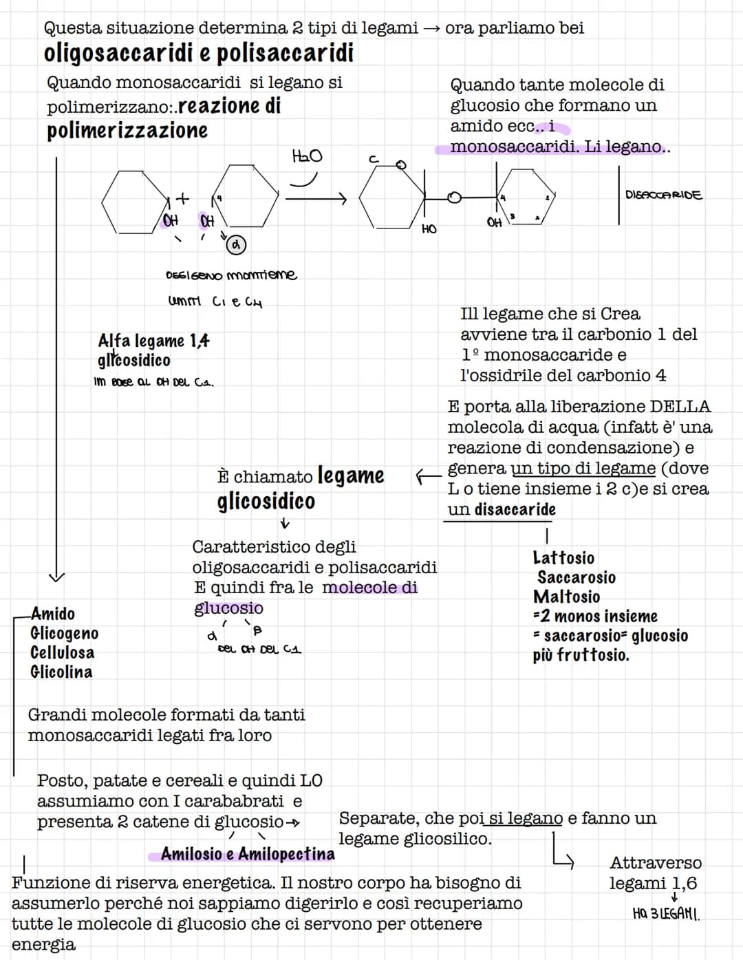 Scienze.
Le biomolecole.
Sono i carboidrati, gli acidi nucleici(DNA E RNA) e i
lipidi
Le biomolecole.
Sono ricche di atomi di carbonio e idr