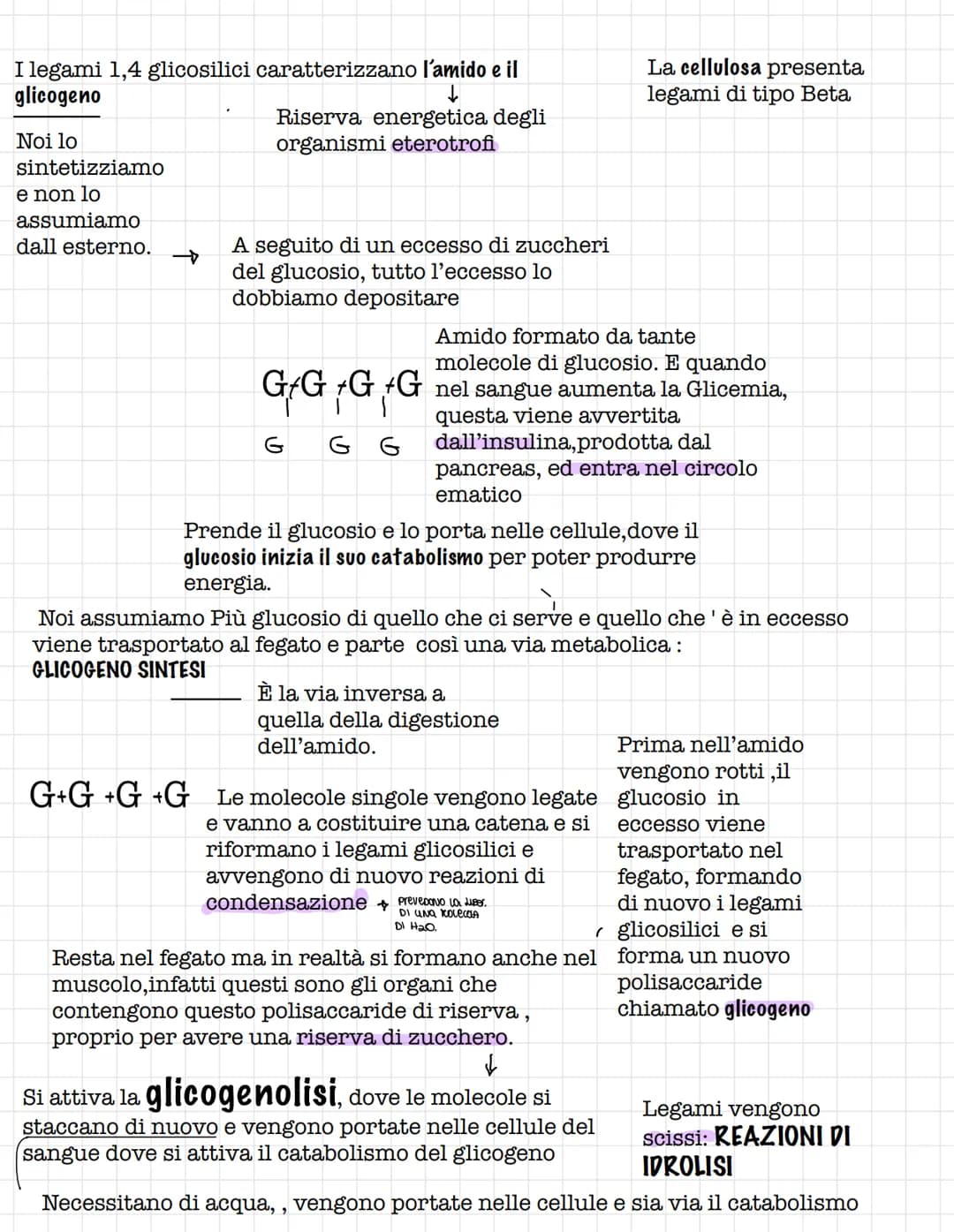 Scienze.
Le biomolecole.
Sono i carboidrati, gli acidi nucleici(DNA E RNA) e i
lipidi
Le biomolecole.
Sono ricche di atomi di carbonio e idr