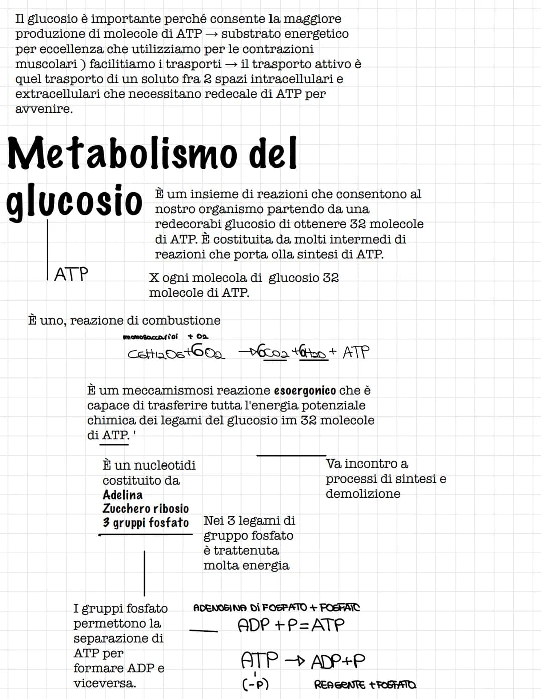 Scienze.
Le biomolecole.
Sono i carboidrati, gli acidi nucleici(DNA E RNA) e i
lipidi
Le biomolecole.
Sono ricche di atomi di carbonio e idr