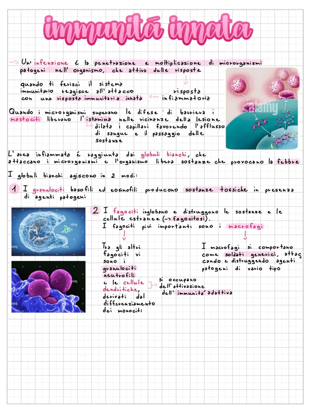 sistema immunitario
difese di barriera
Il nostro corpo utilizza diverse difese di barriera:
la pelle é la difesa
di barriera più estesa
e ri