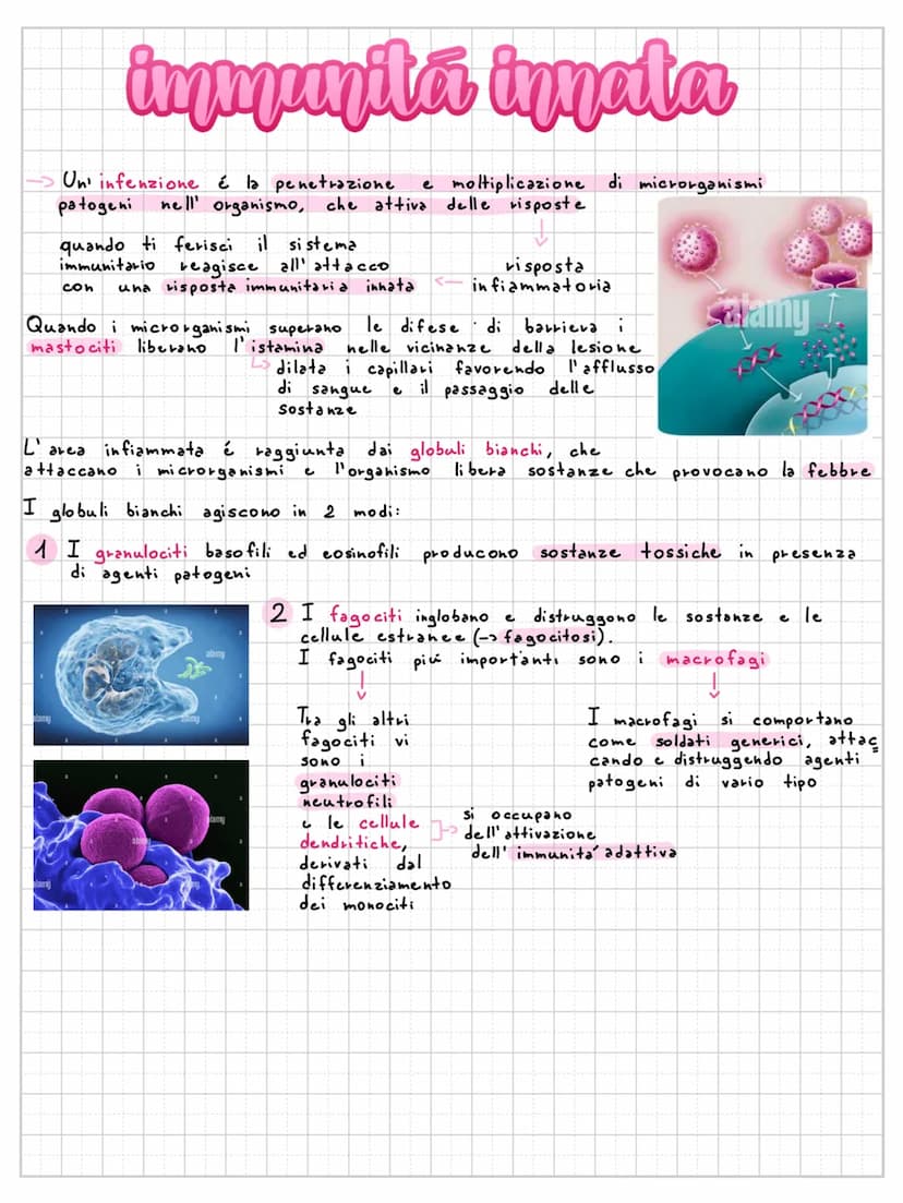 sistema immunitario
difese di barriera
Il nostro corpo utilizza diverse difese di barriera:
la pelle é la difesa
di barriera più estesa
e ri