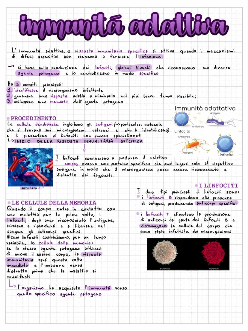 sistema immunitario
difese di barriera
Il nostro corpo utilizza diverse difese di barriera:
la pelle é la difesa
di barriera più estesa
e ri