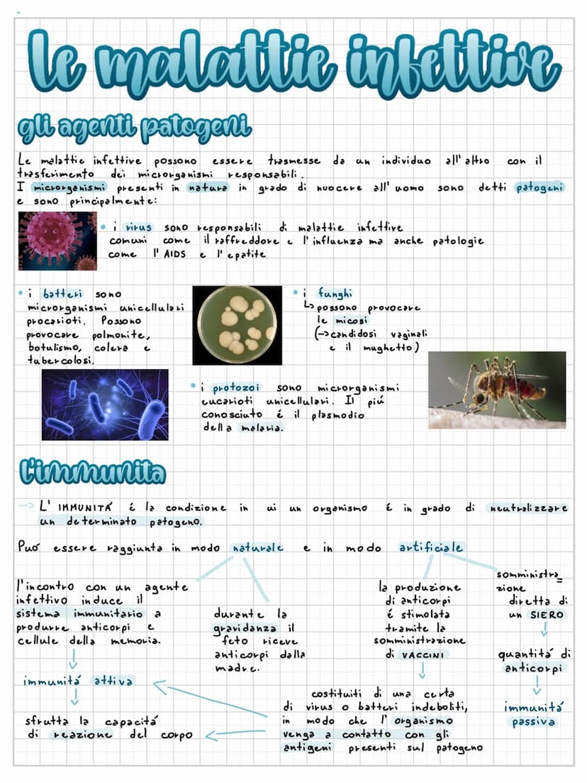 sistema immunitario
difese di barriera
Il nostro corpo utilizza diverse difese di barriera:
la pelle é la difesa
di barriera più estesa
e ri