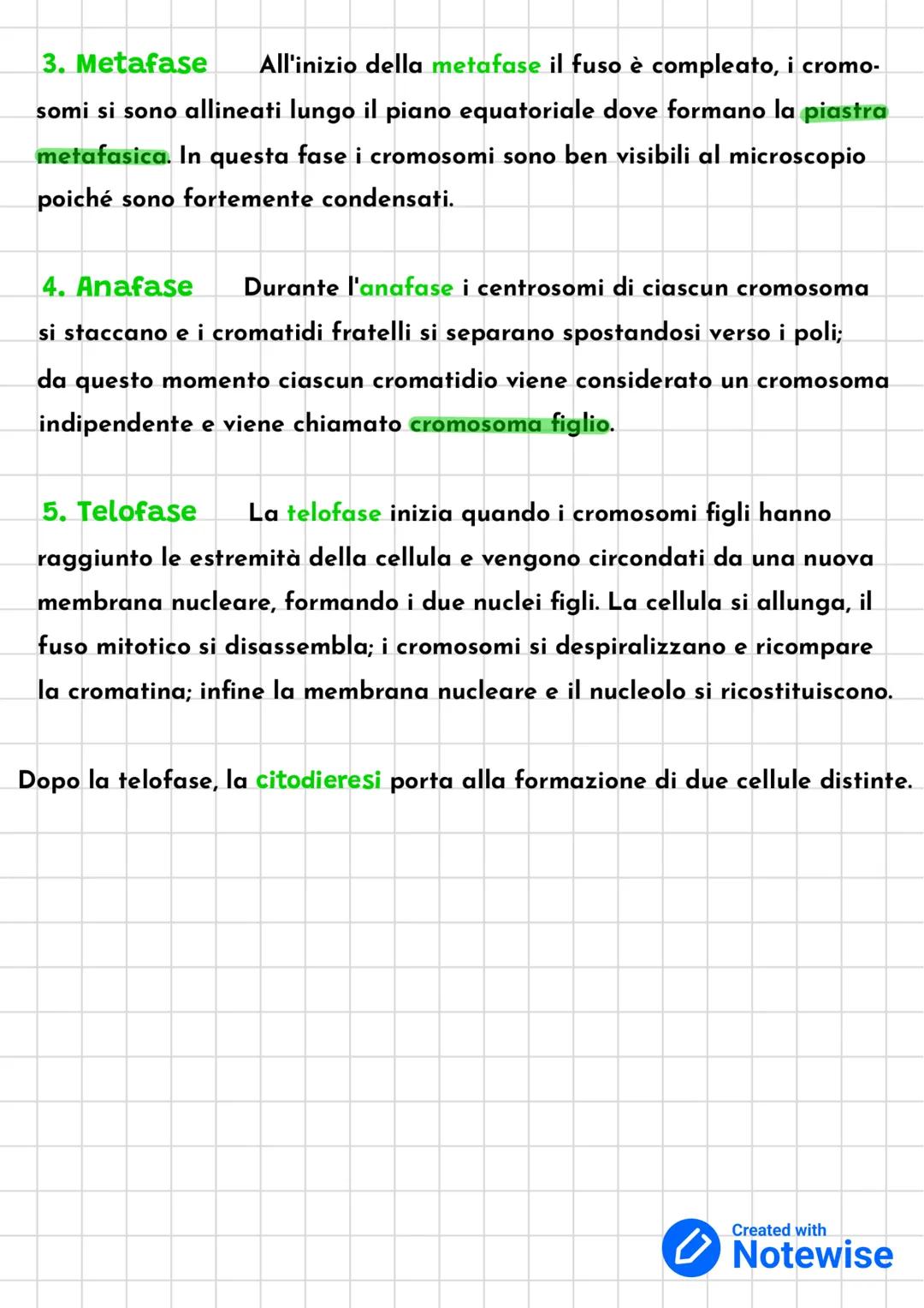 # La Mitosi

La mitosi è la duplicazione del nucleo di una cellula: ogni nucleo dà origine
a due nuclei figli geneticamente identici tra lor