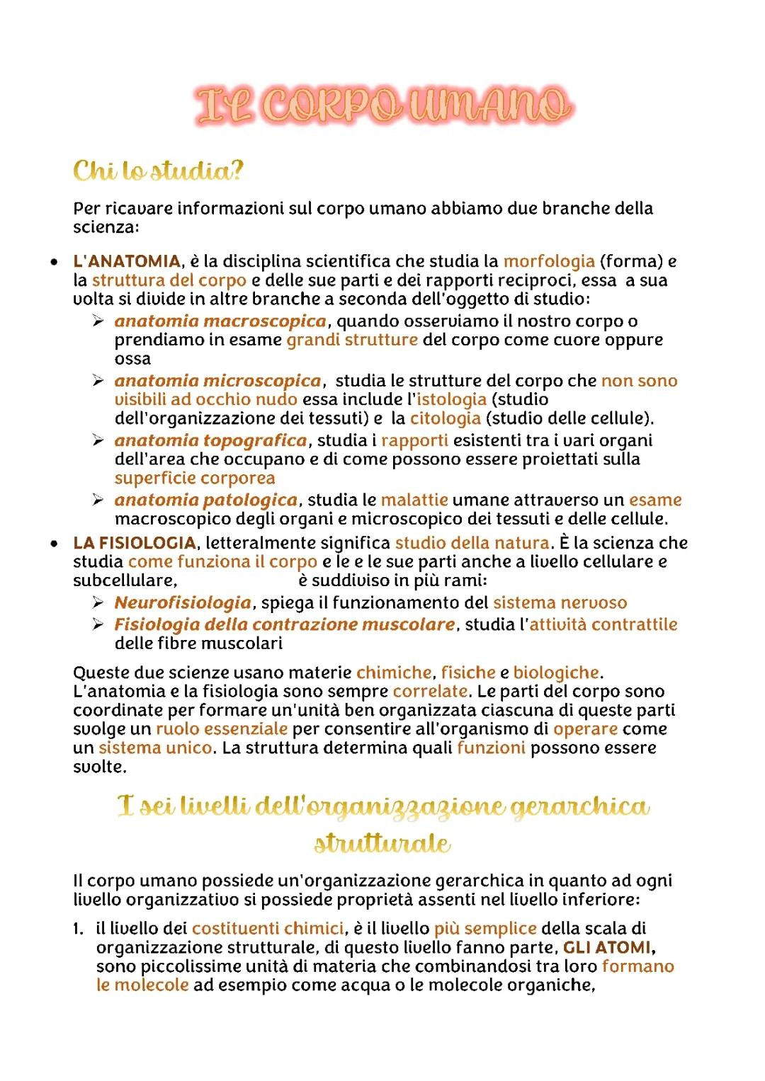 Il corpo umano