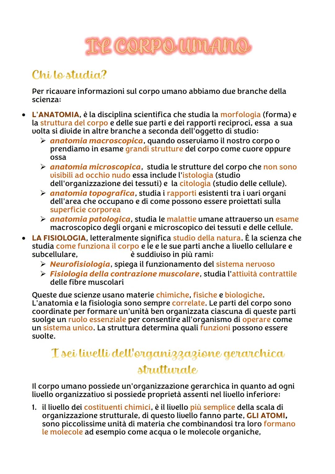 IL CORPO UMANO
●
Chi lo studia?
Per ricavare informazioni sul corpo umano abbiamo due branche della
scienza:
• L'ANATOMIA, è la disciplina s