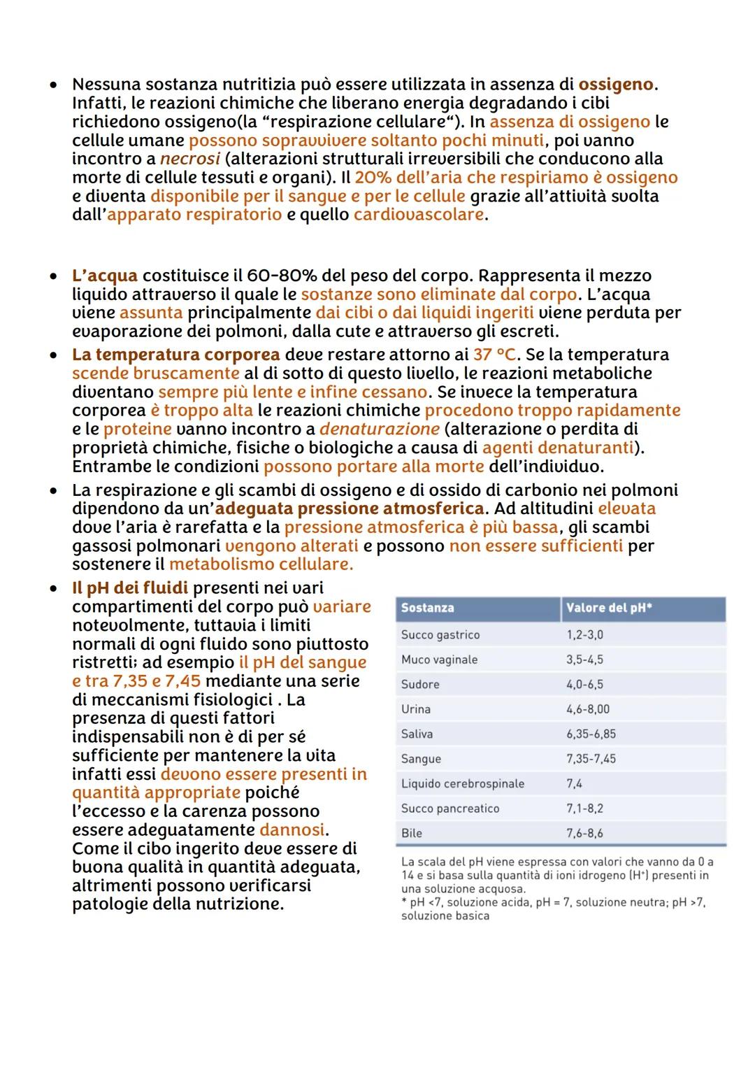IL CORPO UMANO
●
Chi lo studia?
Per ricavare informazioni sul corpo umano abbiamo due branche della
scienza:
• L'ANATOMIA, è la disciplina s