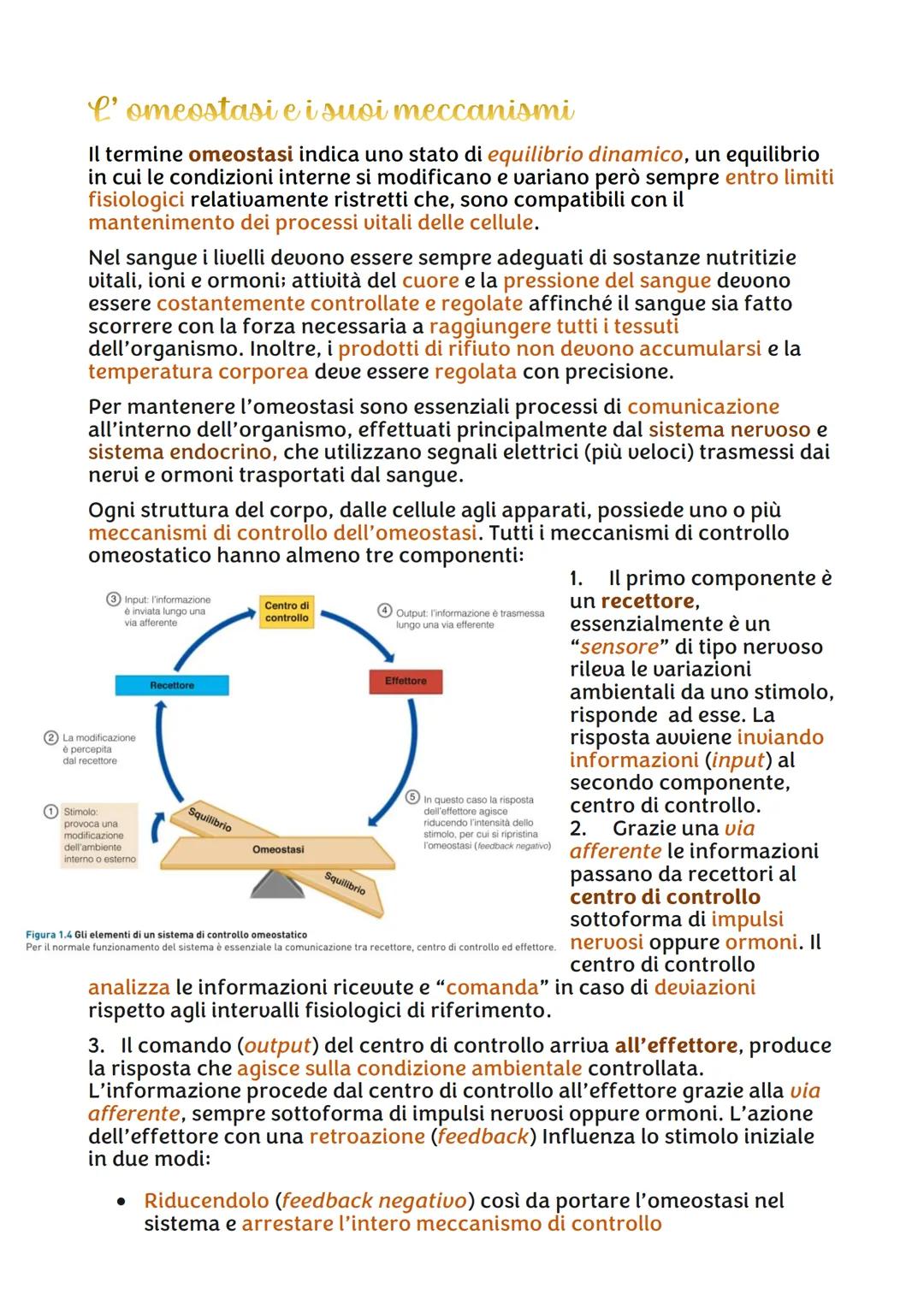 IL CORPO UMANO
●
Chi lo studia?
Per ricavare informazioni sul corpo umano abbiamo due branche della
scienza:
• L'ANATOMIA, è la disciplina s