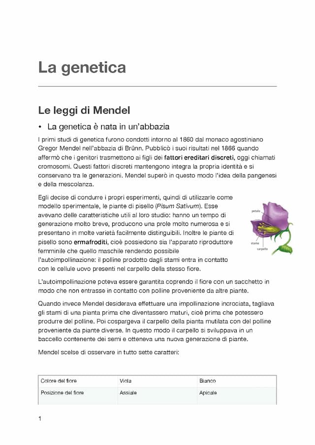 Know La genetica, le leggi di Mendel e la teoria cromosomica thumbnail