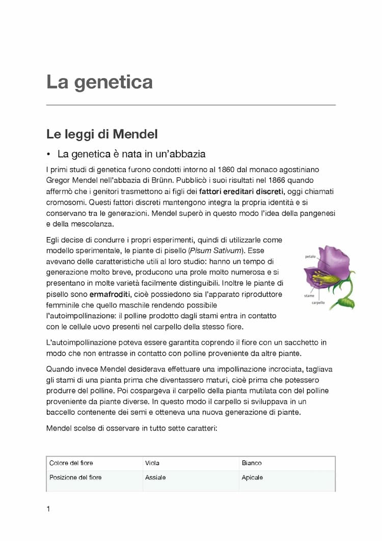 Know La genetica, le leggi di Mendel e la teoria cromosomica thumbnail