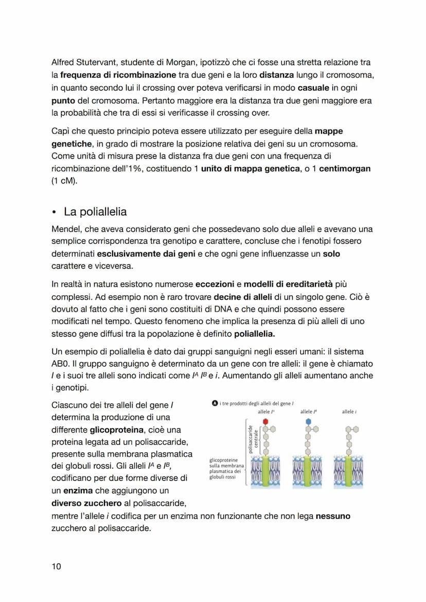 La genetica
Le leggi di Mendel
• La genetica è nata in un'abbazia
I primi studi di genetica furono condotti intorno al 1860 dal monaco agost