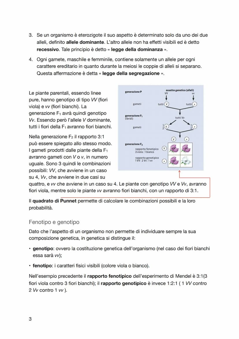 La genetica
Le leggi di Mendel
• La genetica è nata in un'abbazia
I primi studi di genetica furono condotti intorno al 1860 dal monaco agost