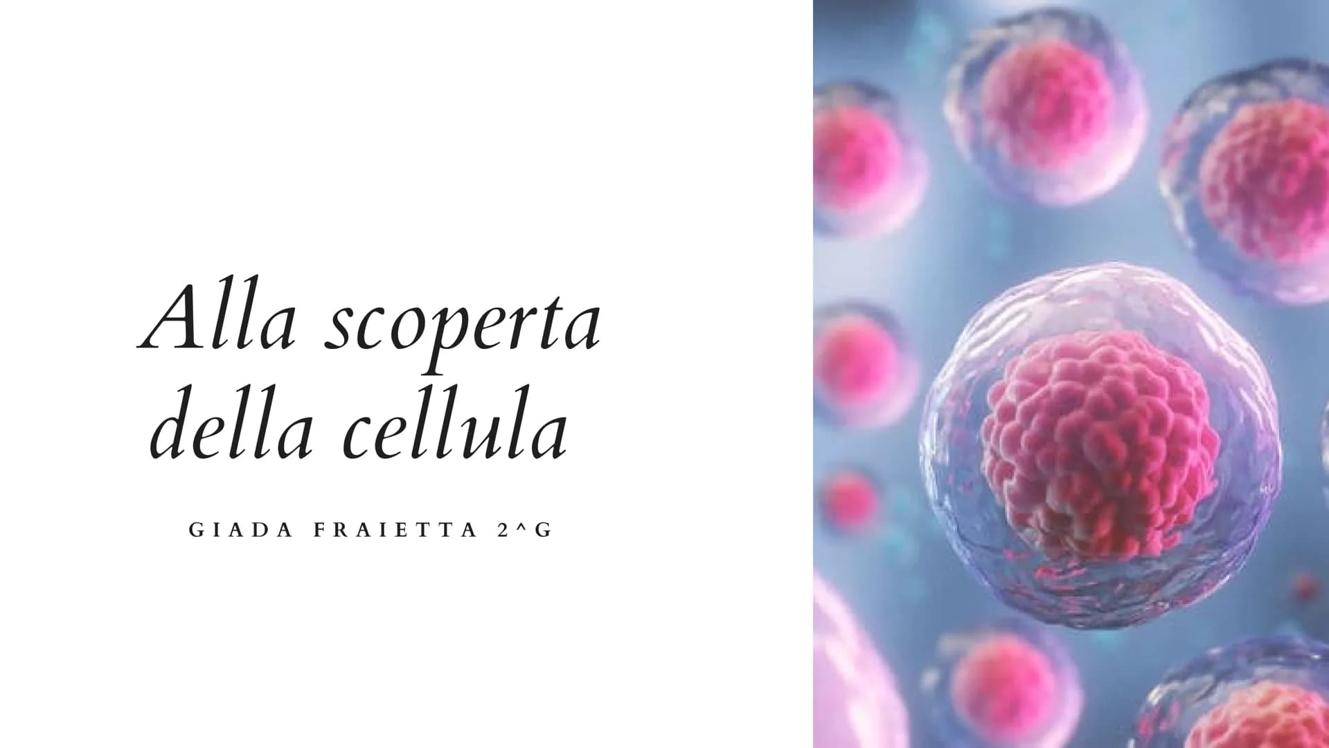 Alla scoperta
della cellula
GIADA FRAIETTA 2^G Mitocondri Centrioli Lisosoma
Reticolo
endoplasmatico
liscio
Citoplasma
Capsula
Parete cellul
