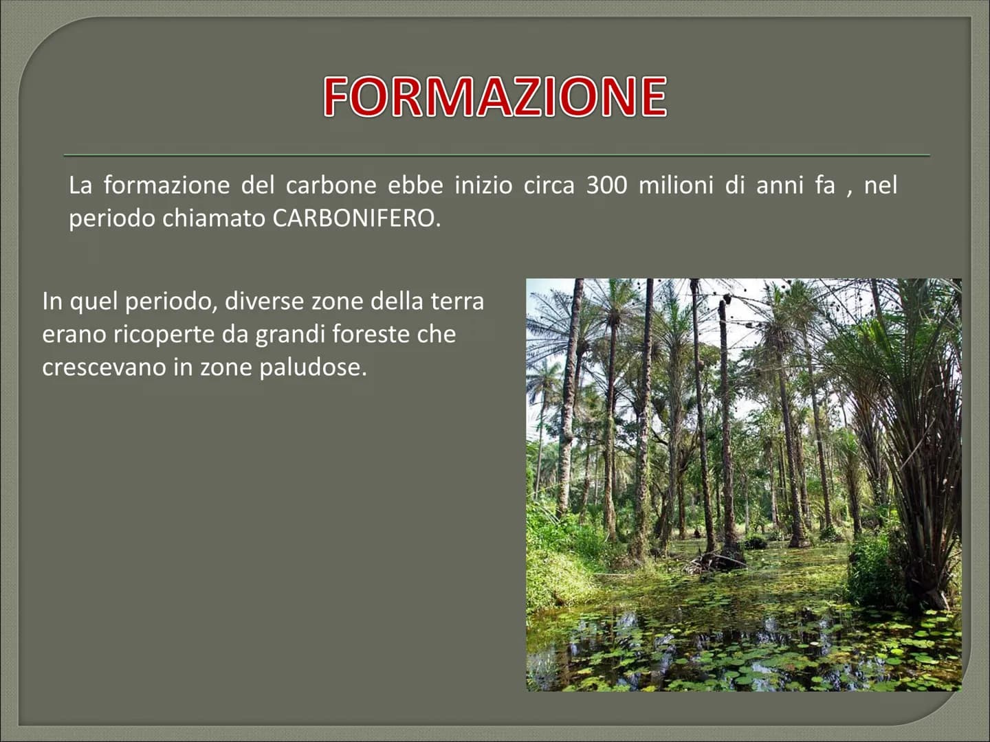 IL CARBONE CHE COS'E' CHE COS'E' ?
Il carbone è:
il combustibile fossile solido di origine vegetale
È il combustibile fossile più diffuso al