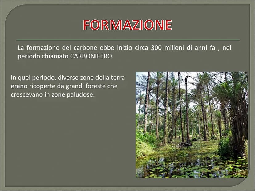IL CARBONE CHE COS'E' CHE COS'E' ?
Il carbone è:
il combustibile fossile solido di origine vegetale
È il combustibile fossile più diffuso al